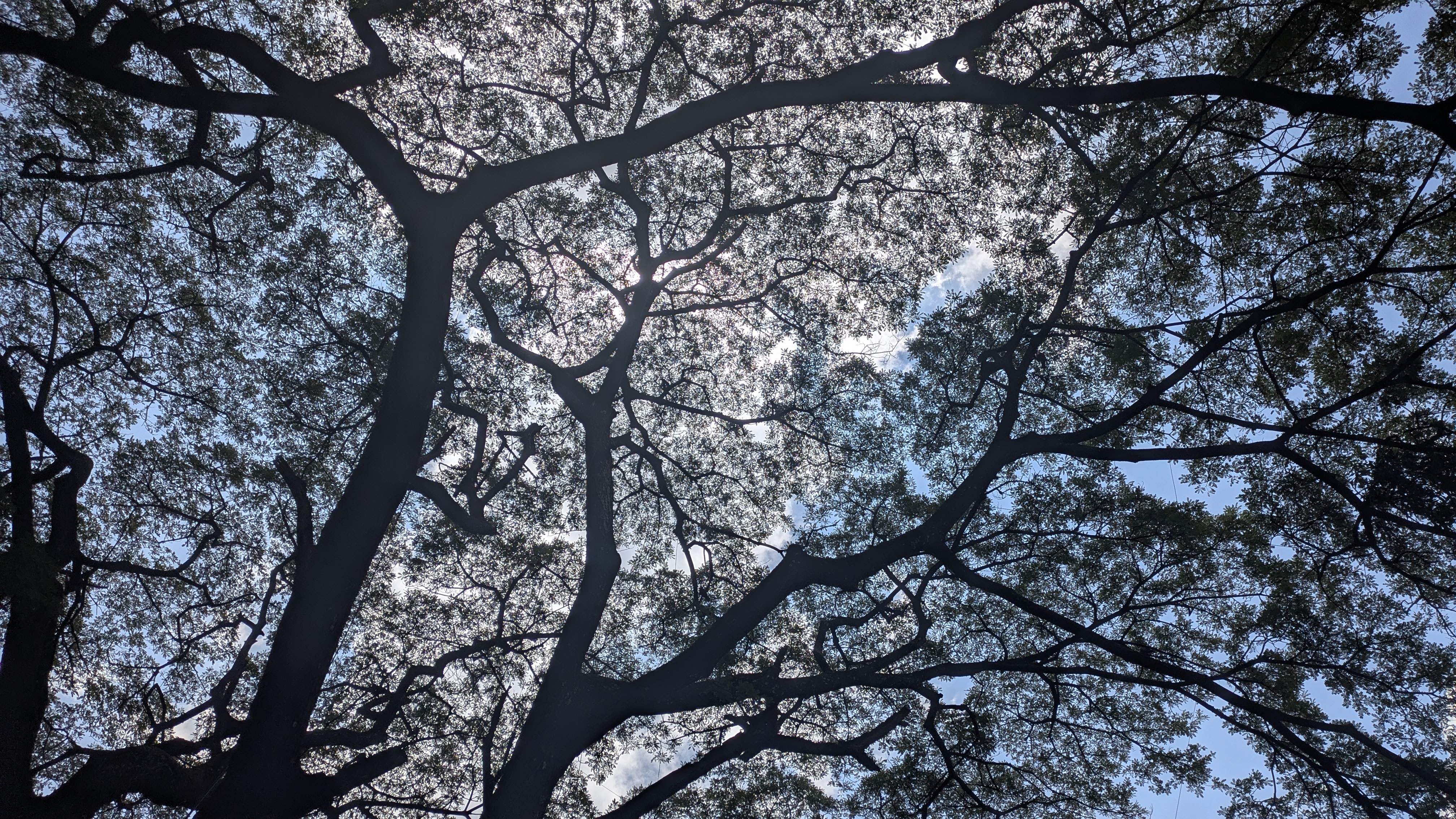 Bangalore